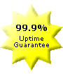 99.9& Uptime Guarantee!